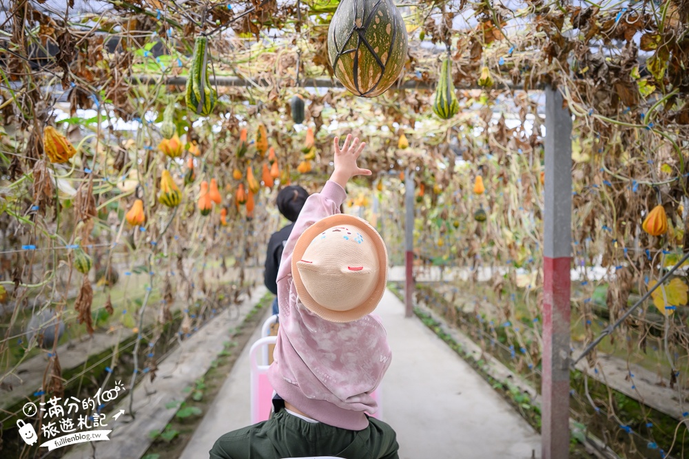 雲林【綠金蕃茄南瓜農場】全台唯一南瓜隧道小火車.可無限次搭乘.全室內景點.玩拍七彩南瓜.還有採果體驗唷!