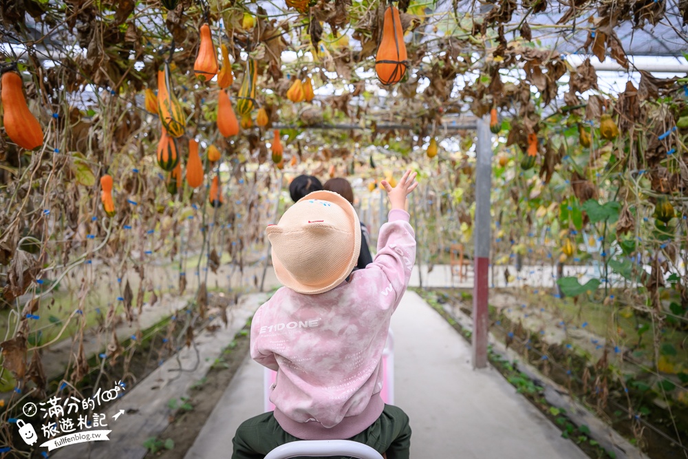 雲林【綠金蕃茄南瓜農場】全台唯一南瓜隧道小火車.可無限次搭乘.全室內景點.玩拍七彩南瓜.還有採果體驗唷!