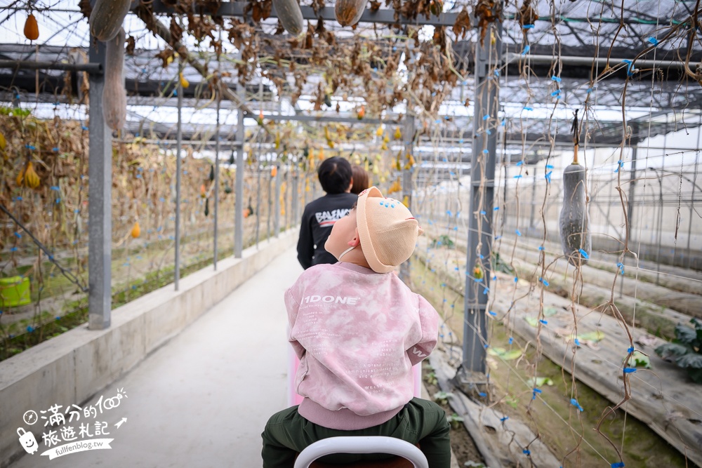 雲林【綠金蕃茄南瓜農場】全台唯一南瓜隧道小火車.可無限次搭乘.全室內景點.玩拍七彩南瓜.還有採果體驗唷!