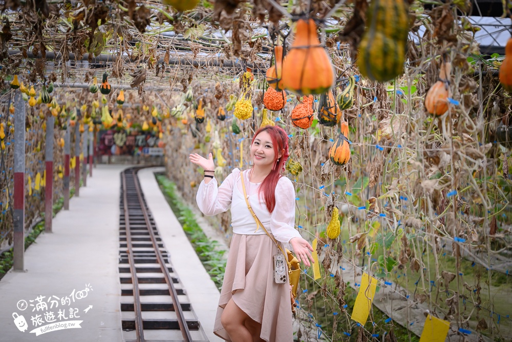 雲林【綠金蕃茄南瓜農場】全台唯一南瓜隧道小火車.可無限次搭乘.全室內景點.玩拍七彩南瓜.還有採果體驗唷!