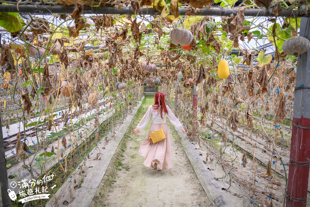 雲林【綠金蕃茄南瓜農場】全台唯一南瓜隧道小火車.可無限次搭乘.全室內景點.玩拍七彩南瓜.還有採果體驗唷!