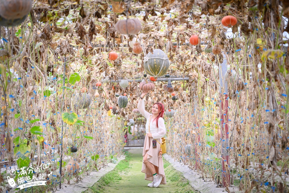 雲林【綠金蕃茄南瓜農場】全台唯一南瓜隧道小火車.可無限次搭乘.全室內景點.玩拍七彩南瓜.還有採果體驗唷!