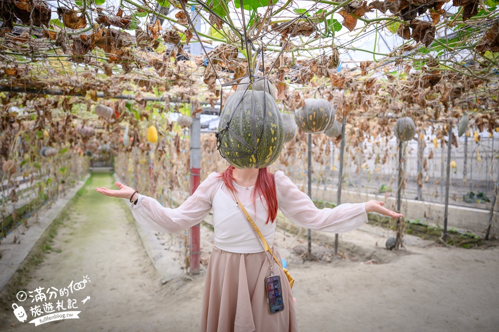 雲林【綠金蕃茄南瓜農場】全台唯一南瓜隧道小火車.可無限次搭乘.全室內景點.玩拍七彩南瓜.還有採果體驗唷!