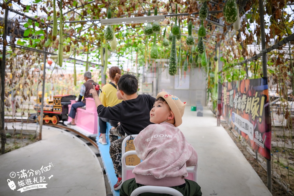 雲林【綠金蕃茄南瓜農場】全台唯一南瓜隧道小火車.可無限次搭乘.全室內景點.玩拍七彩南瓜.還有採果體驗唷!