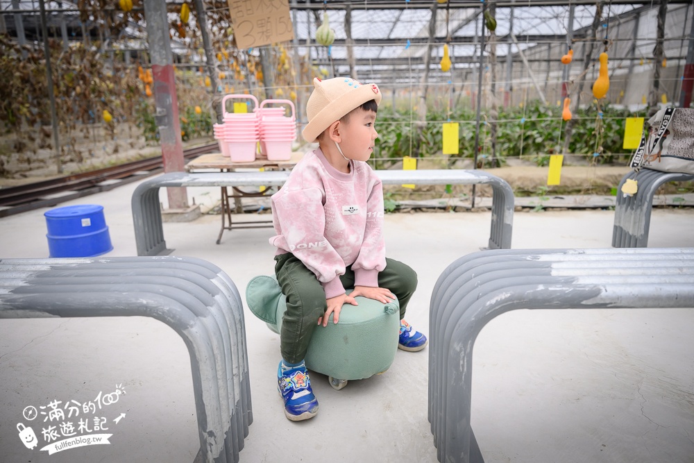 雲林【綠金蕃茄南瓜農場】全台唯一南瓜隧道小火車.可無限次搭乘.全室內景點.玩拍七彩南瓜.還有採果體驗唷!