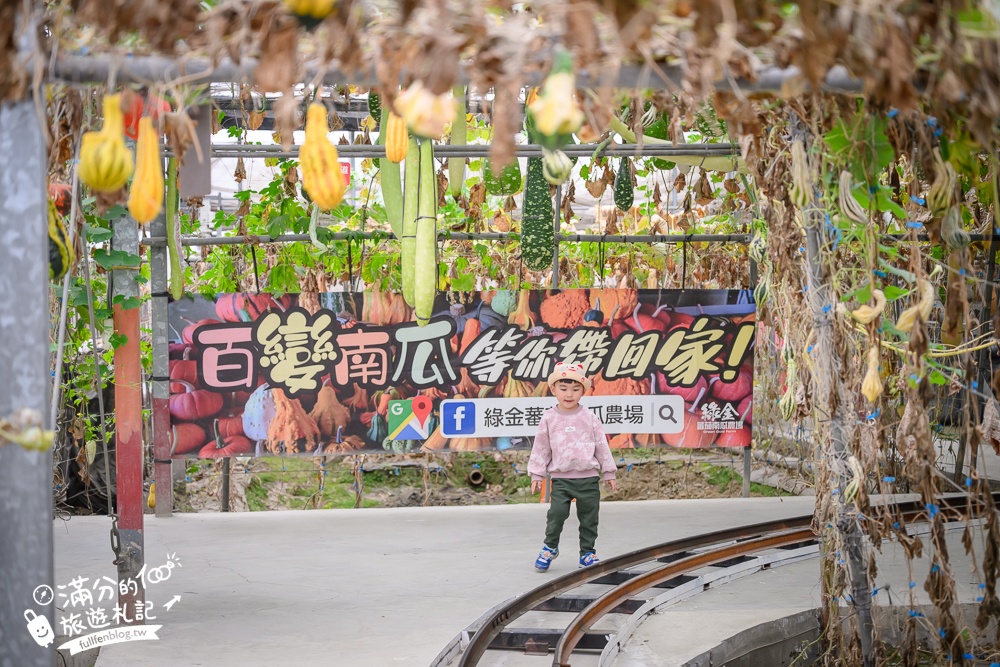 雲林【綠金蕃茄南瓜農場】全台唯一南瓜隧道小火車.可無限次搭乘.全室內景點.玩拍七彩南瓜.還有採果體驗唷!