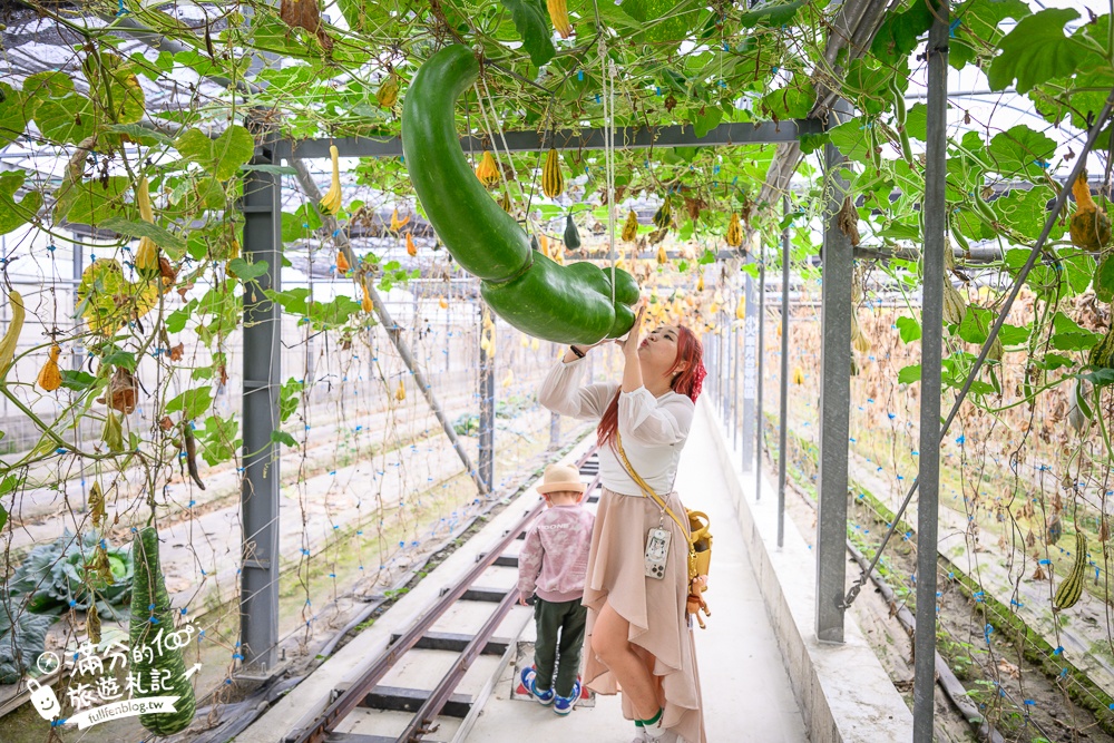 雲林【綠金蕃茄南瓜農場】全台唯一南瓜隧道小火車.可無限次搭乘.全室內景點.玩拍七彩南瓜.還有採果體驗唷!