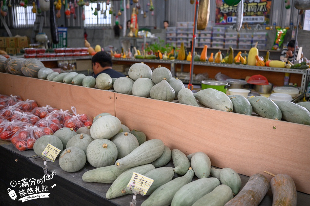 雲林【綠金蕃茄南瓜農場】全台唯一南瓜隧道小火車.可無限次搭乘.全室內景點.玩拍七彩南瓜.還有採果體驗唷!