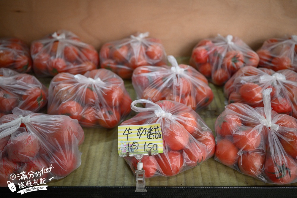 雲林【綠金蕃茄南瓜農場】全台唯一南瓜隧道小火車.可無限次搭乘.全室內景點.玩拍七彩南瓜.還有採果體驗唷!