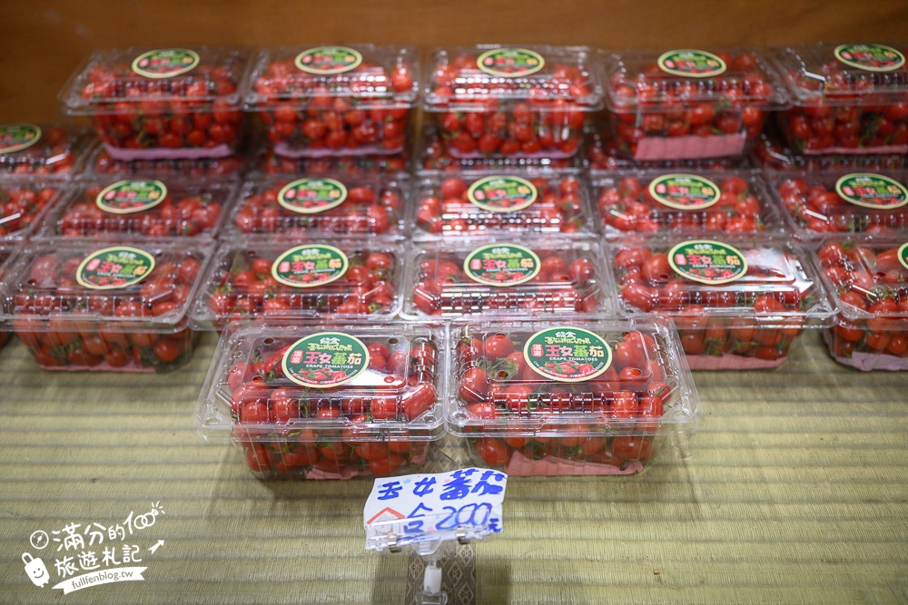 雲林【綠金蕃茄南瓜農場】全台唯一南瓜隧道小火車.可無限次搭乘.全室內景點.玩拍七彩南瓜.還有採果體驗唷!