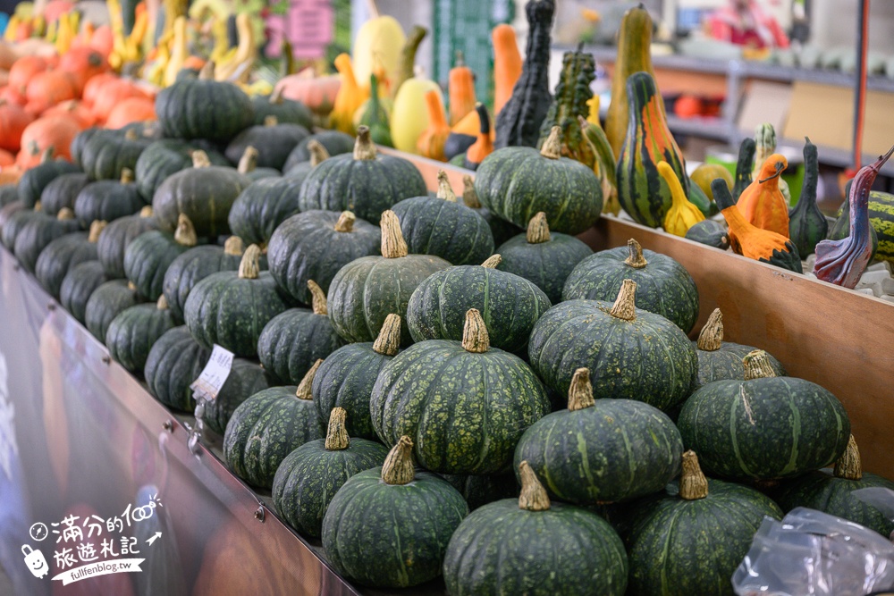 雲林【綠金蕃茄南瓜農場】全台唯一南瓜隧道小火車.可無限次搭乘.全室內景點.玩拍七彩南瓜.還有採果體驗唷!