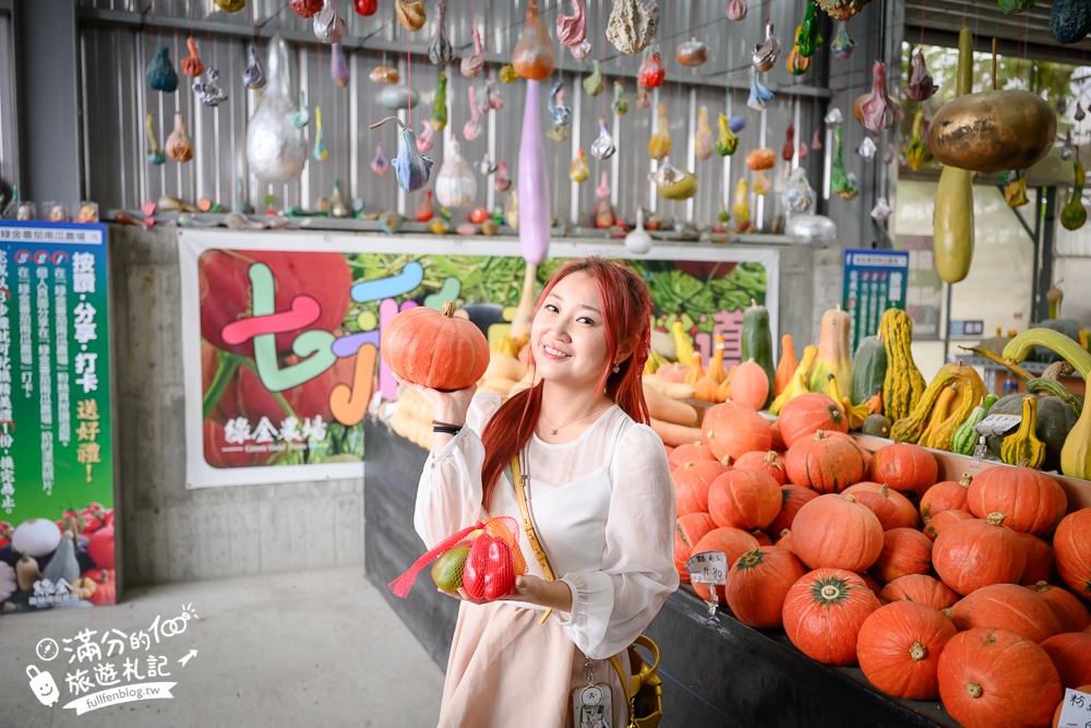 雲林【綠金蕃茄南瓜農場】全台唯一南瓜隧道小火車.可無限次搭乘.全室內景點.玩拍七彩南瓜.還有採果體驗唷!