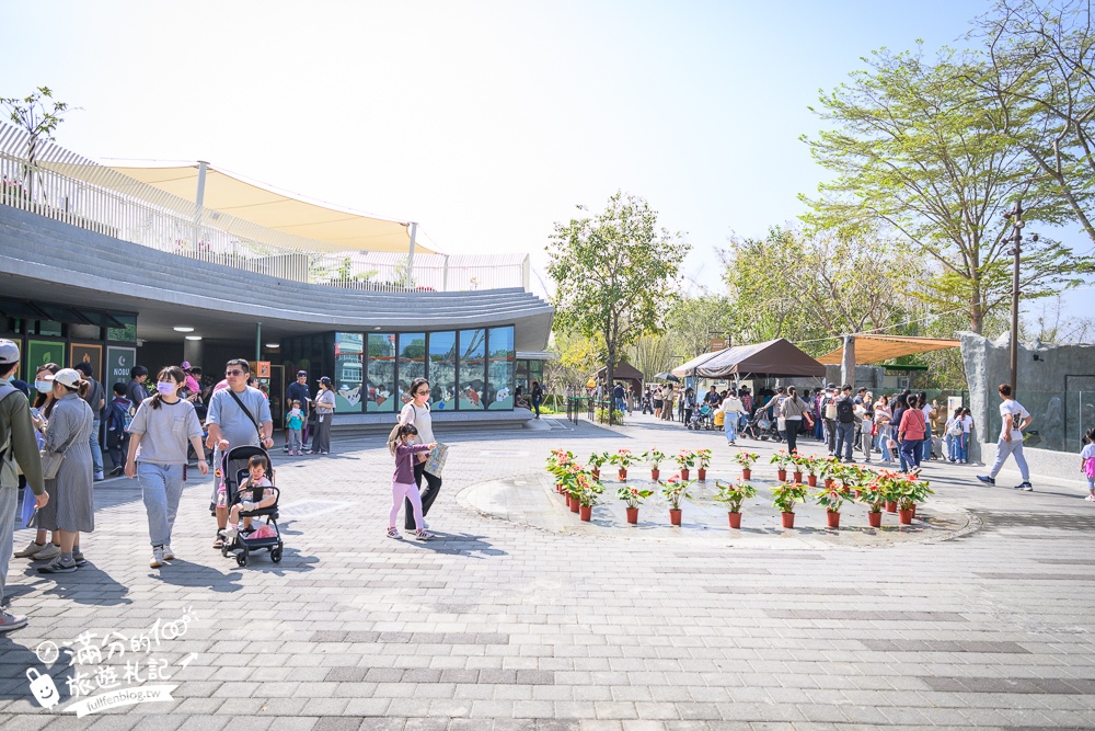 高雄景點【野森動物學校】最新門票資訊＆玩樂攻略!必玩沙丘部落和狐狸谷.與狐狸.狐獴.老鷹.土撥鼠近距離互動!