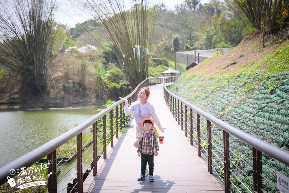 高雄景點【野森動物學校】最新門票資訊＆玩樂攻略!必玩沙丘部落和狐狸谷.與狐狸.狐獴.老鷹.土撥鼠近距離互動!