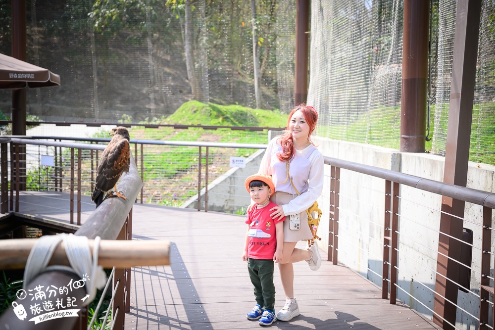 高雄景點【野森動物學校】最新門票資訊＆玩樂攻略!必玩沙丘部落和狐狸谷.與狐狸.狐獴.老鷹.土撥鼠近距離互動!
