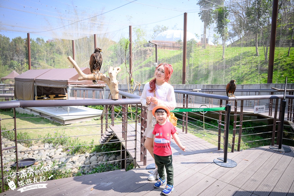 高雄景點【野森動物學校】最新門票資訊＆玩樂攻略!必玩沙丘部落和狐狸谷.與狐狸.狐獴.老鷹.土撥鼠近距離互動!
