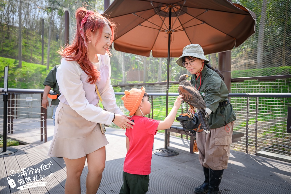 高雄景點【野森動物學校】最新門票資訊＆玩樂攻略!必玩沙丘部落和狐狸谷.與狐狸.狐獴.老鷹.土撥鼠近距離互動!
