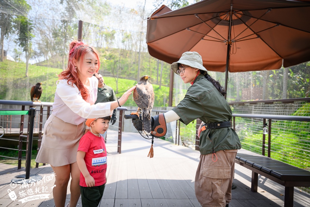高雄景點【野森動物學校】最新門票資訊＆玩樂攻略!必玩沙丘部落和狐狸谷.與狐狸.狐獴.老鷹.土撥鼠近距離互動!