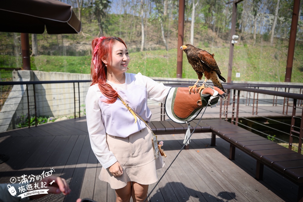 高雄景點【野森動物學校】最新門票資訊＆玩樂攻略!必玩沙丘部落和狐狸谷.與狐狸.狐獴.老鷹.土撥鼠近距離互動!