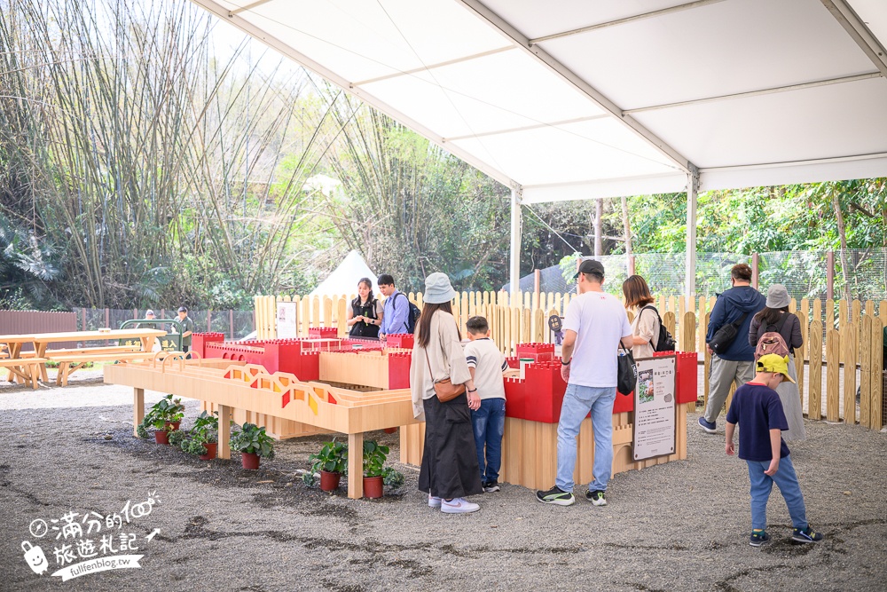 高雄景點【野森動物學校】最新門票資訊＆玩樂攻略!必玩沙丘部落和狐狸谷.與狐狸.狐獴.老鷹.土撥鼠近距離互動!