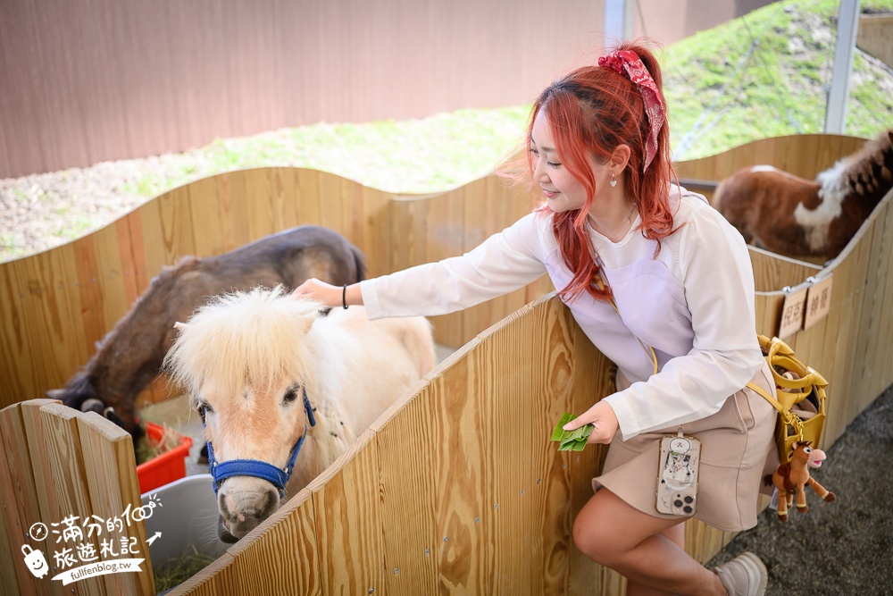 高雄景點【野森動物學校】最新門票資訊＆玩樂攻略!必玩沙丘部落和狐狸谷.與狐狸.狐獴.老鷹.土撥鼠近距離互動!