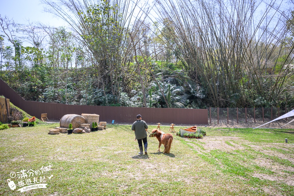 高雄景點【野森動物學校】最新門票資訊＆玩樂攻略!必玩沙丘部落和狐狸谷.與狐狸.狐獴.老鷹.土撥鼠近距離互動!