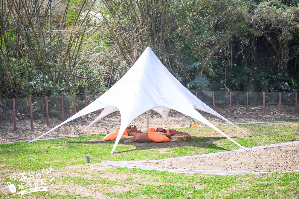 高雄景點【野森動物學校】最新門票資訊＆玩樂攻略!必玩沙丘部落和狐狸谷.與狐狸.狐獴.老鷹.土撥鼠近距離互動!