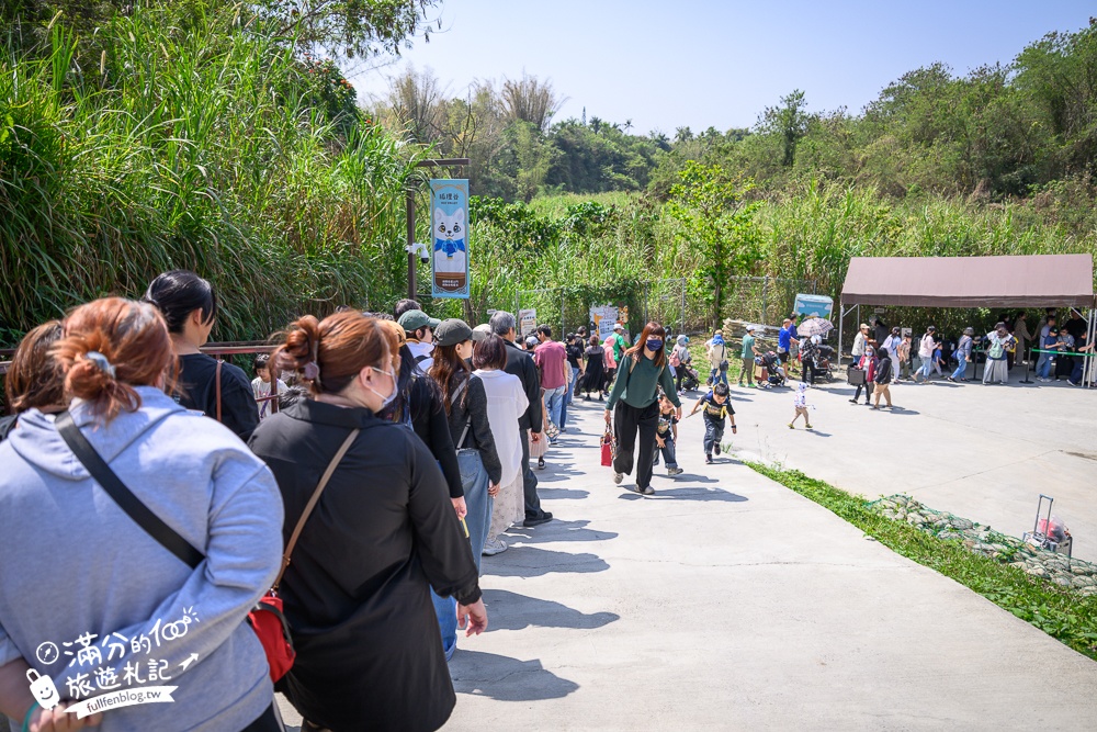 高雄景點【野森動物學校】最新門票資訊＆玩樂攻略!必玩沙丘部落和狐狸谷.與狐狸.狐獴.老鷹.土撥鼠近距離互動!