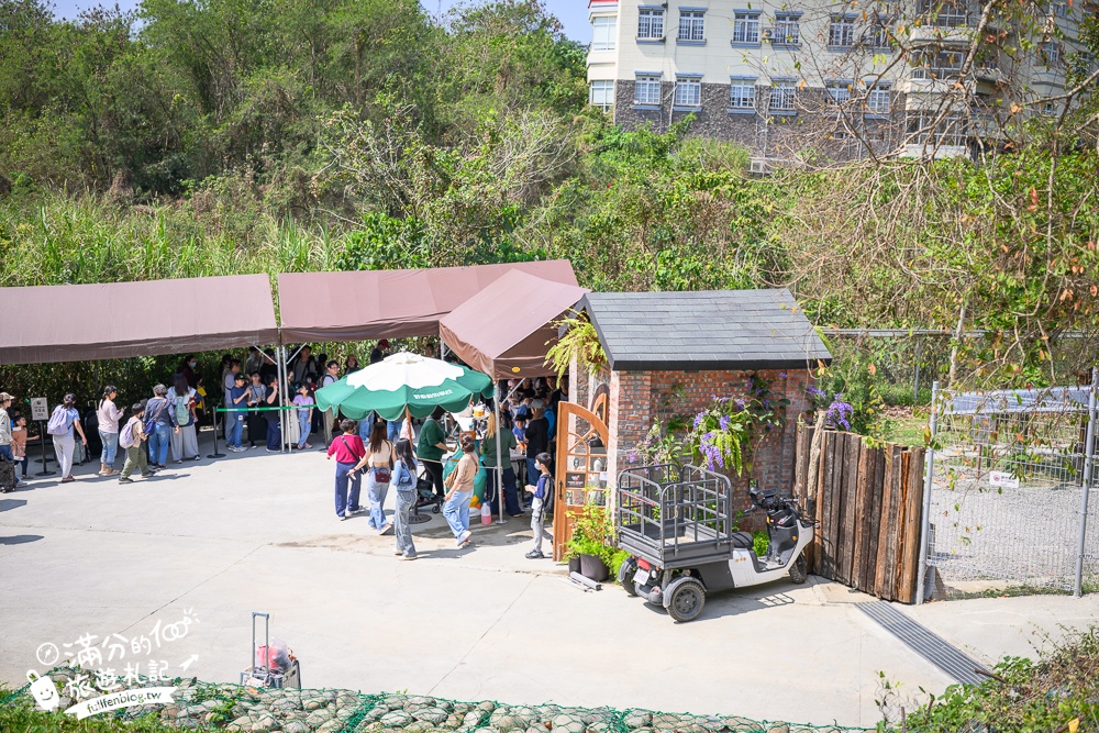 高雄景點【野森動物學校】最新門票資訊＆玩樂攻略!必玩沙丘部落和狐狸谷.與狐狸.狐獴.老鷹.土撥鼠近距離互動!