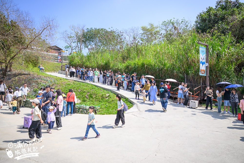 高雄景點【野森動物學校】最新門票資訊＆玩樂攻略!必玩沙丘部落和狐狸谷.與狐狸.狐獴.老鷹.土撥鼠近距離互動!