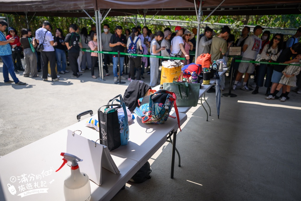 高雄景點【野森動物學校】最新門票資訊＆玩樂攻略!必玩沙丘部落和狐狸谷.與狐狸.狐獴.老鷹.土撥鼠近距離互動!