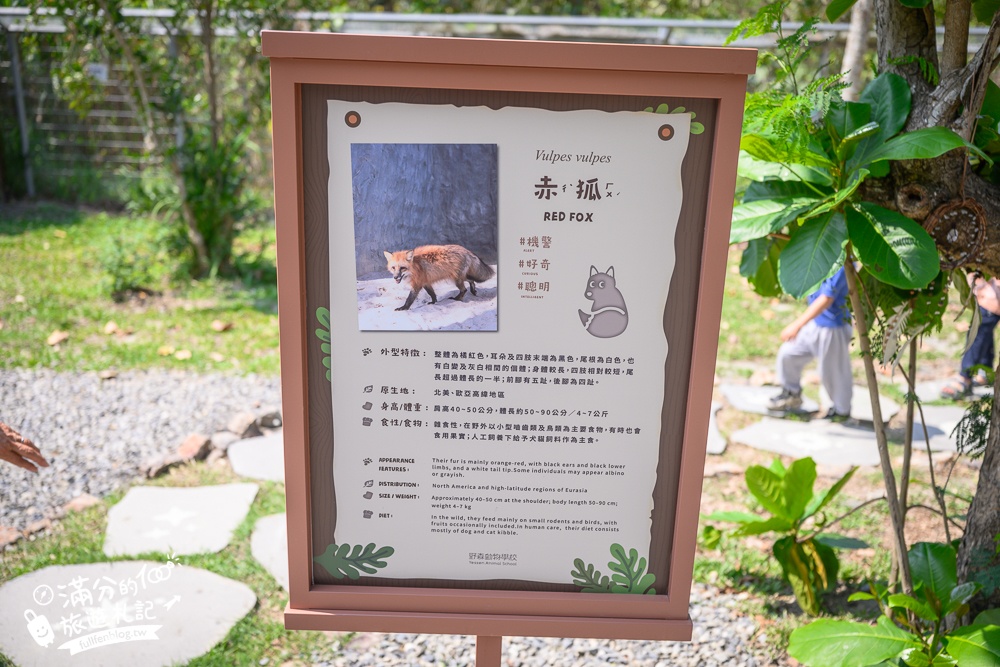 高雄景點【野森動物學校】最新門票資訊＆玩樂攻略!必玩沙丘部落和狐狸谷.與狐狸.狐獴.老鷹.土撥鼠近距離互動!