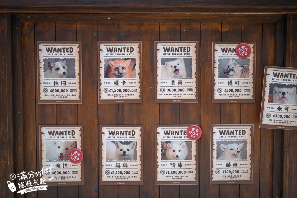 高雄景點【野森動物學校】最新門票資訊＆玩樂攻略!必玩沙丘部落和狐狸谷.與狐狸.狐獴.老鷹.土撥鼠近距離互動!