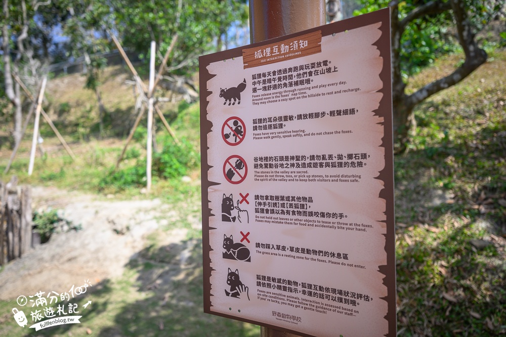 高雄景點【野森動物學校】最新門票資訊＆玩樂攻略!必玩沙丘部落和狐狸谷.與狐狸.狐獴.老鷹.土撥鼠近距離互動!