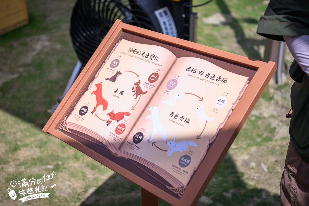 高雄景點【野森動物學校】最新門票資訊＆玩樂攻略!必玩沙丘部落和狐狸谷.與狐狸.狐獴.老鷹.土撥鼠近距離互動!