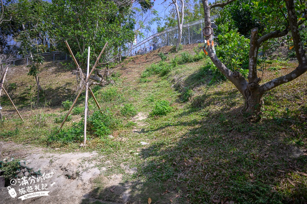 高雄景點【野森動物學校】最新門票資訊＆玩樂攻略!必玩沙丘部落和狐狸谷.與狐狸.狐獴.老鷹.土撥鼠近距離互動!