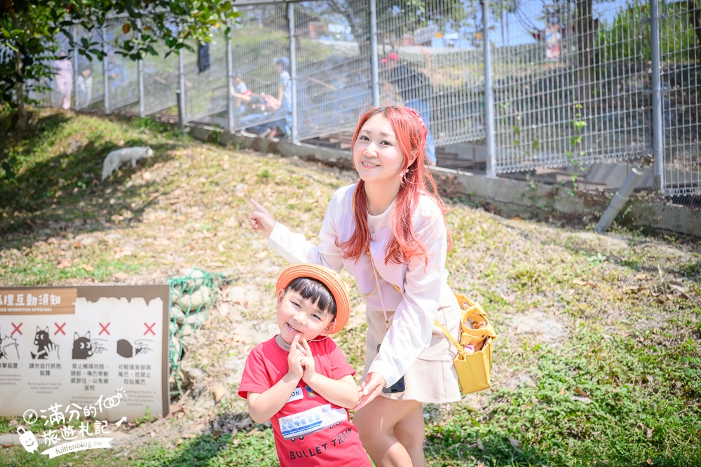 高雄景點【野森動物學校】最新門票資訊＆玩樂攻略!必玩沙丘部落和狐狸谷.與狐狸.狐獴.老鷹.土撥鼠近距離互動!