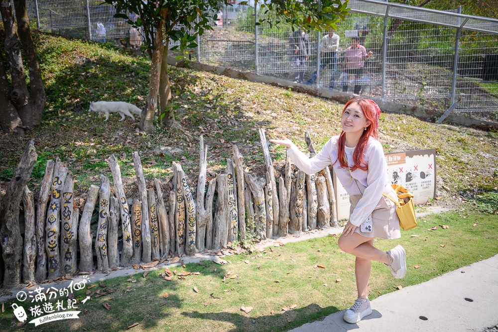 高雄景點【野森動物學校】最新門票資訊＆玩樂攻略!必玩沙丘部落和狐狸谷.與狐狸.狐獴.老鷹.土撥鼠近距離互動!