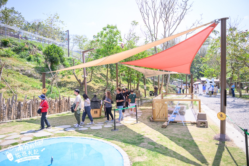 高雄景點【野森動物學校】最新門票資訊＆玩樂攻略!必玩沙丘部落和狐狸谷.與狐狸.狐獴.老鷹.土撥鼠近距離互動!