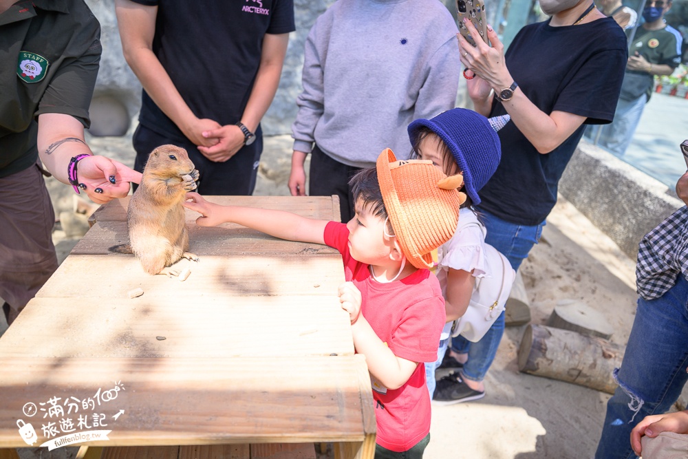 高雄景點【野森動物學校】最新門票資訊＆玩樂攻略!必玩沙丘部落和狐狸谷.與狐狸.狐獴.老鷹.土撥鼠近距離互動!