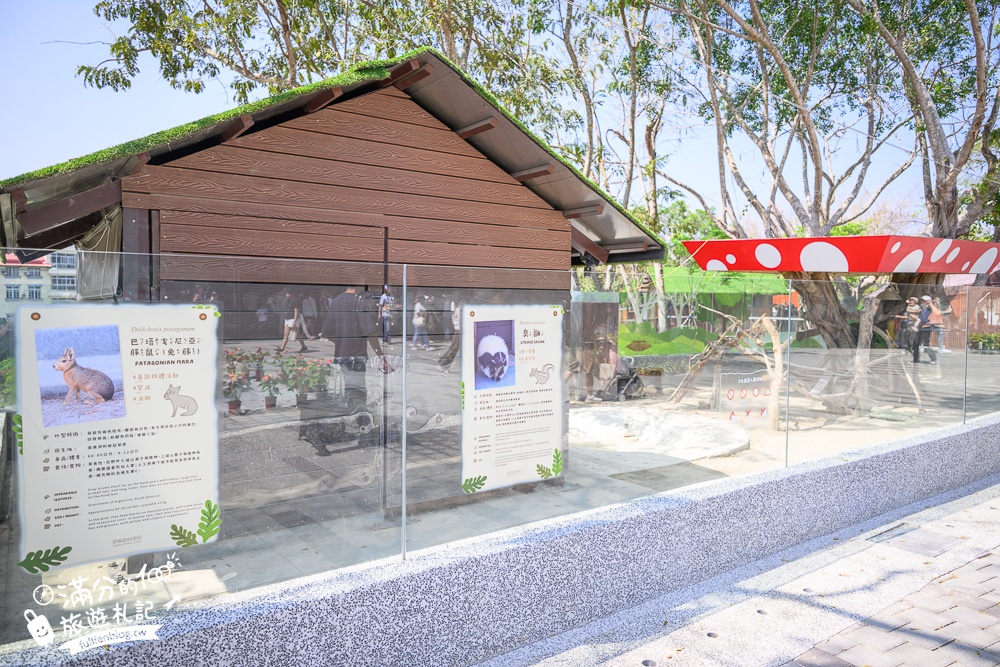 高雄景點【野森動物學校】最新門票資訊＆玩樂攻略!必玩沙丘部落和狐狸谷.與狐狸.狐獴.老鷹.土撥鼠近距離互動!