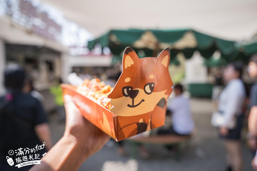 高雄景點【野森動物學校】最新門票資訊＆玩樂攻略!必玩沙丘部落和狐狸谷.與狐狸.狐獴.老鷹.土撥鼠近距離互動!