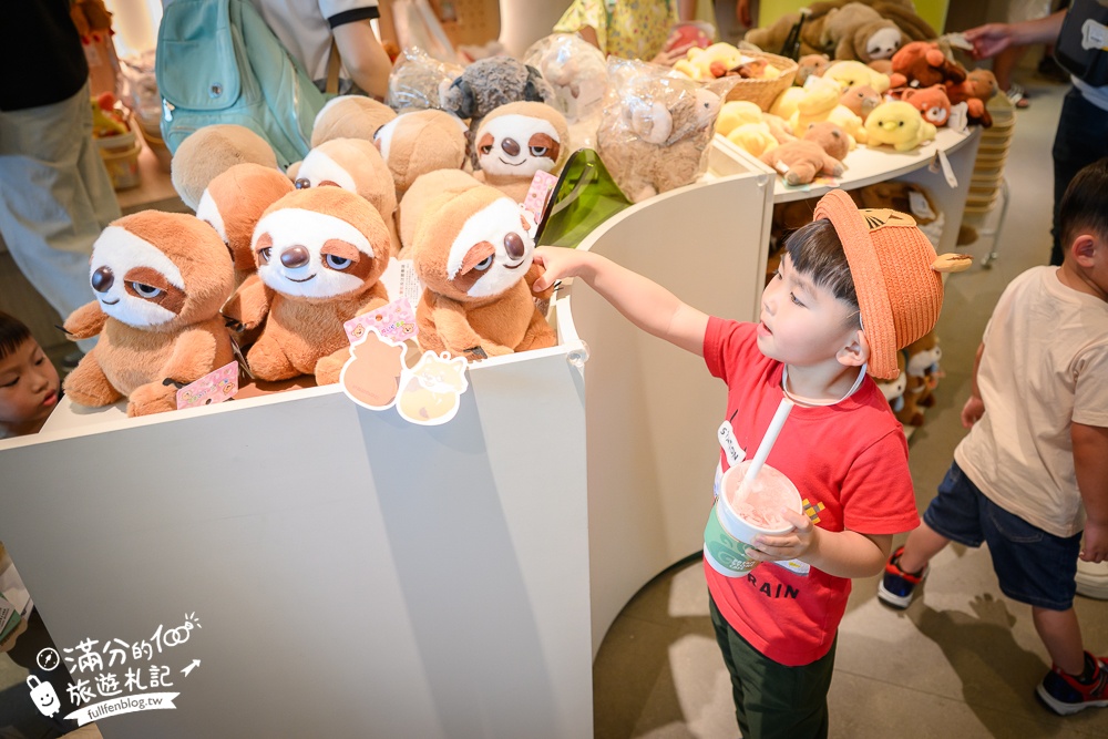 高雄景點【野森動物學校】最新門票資訊＆玩樂攻略!必玩沙丘部落和狐狸谷.與狐狸.狐獴.老鷹.土撥鼠近距離互動!