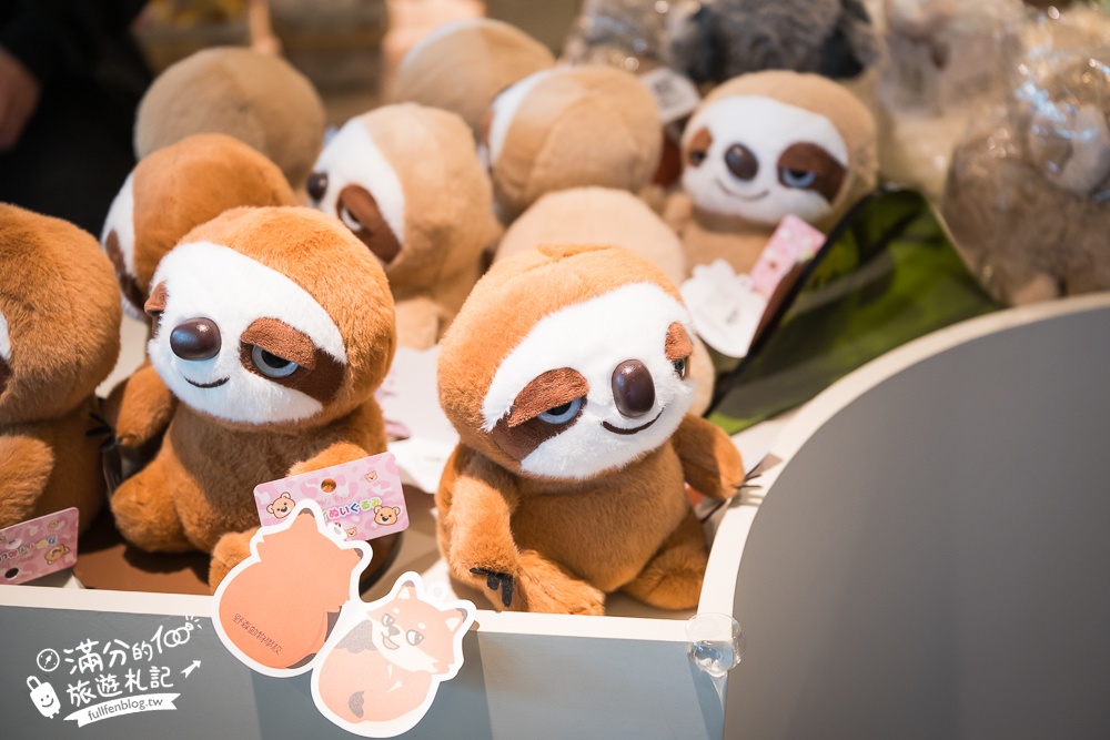 高雄景點【野森動物學校】最新門票資訊＆玩樂攻略!必玩沙丘部落和狐狸谷.與狐狸.狐獴.老鷹.土撥鼠近距離互動!