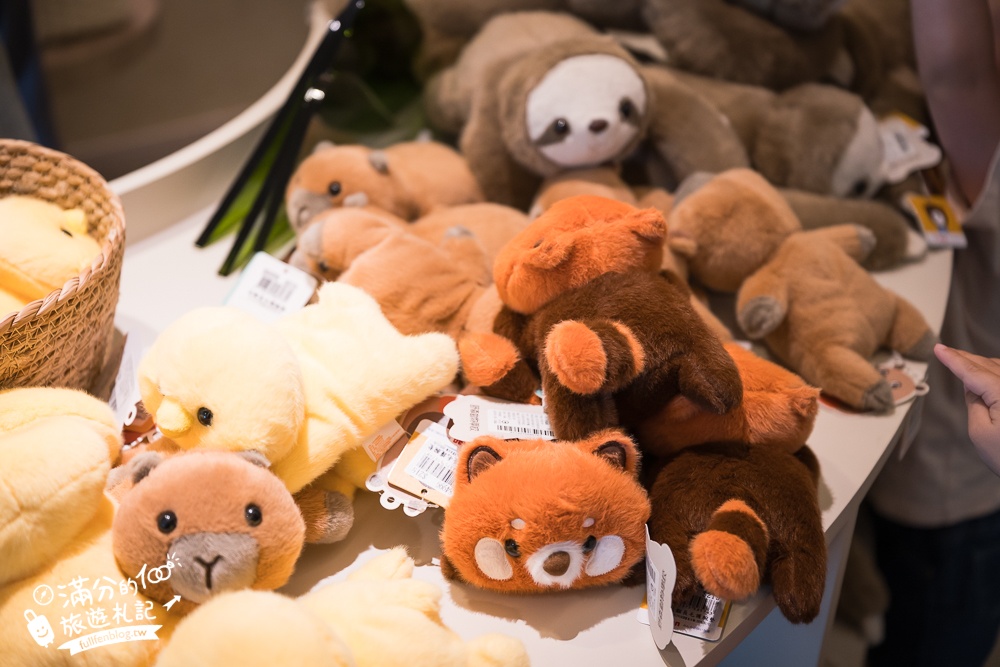 高雄景點【野森動物學校】最新門票資訊＆玩樂攻略!必玩沙丘部落和狐狸谷.與狐狸.狐獴.老鷹.土撥鼠近距離互動!