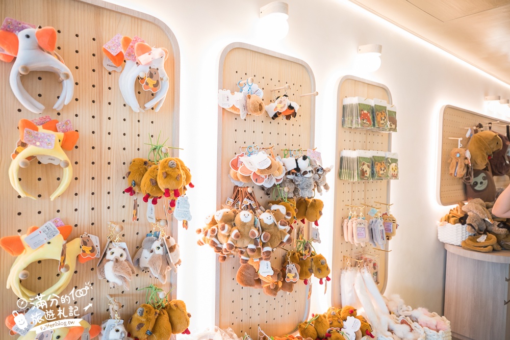 高雄景點【野森動物學校】最新門票資訊＆玩樂攻略!必玩沙丘部落和狐狸谷.與狐狸.狐獴.老鷹.土撥鼠近距離互動!