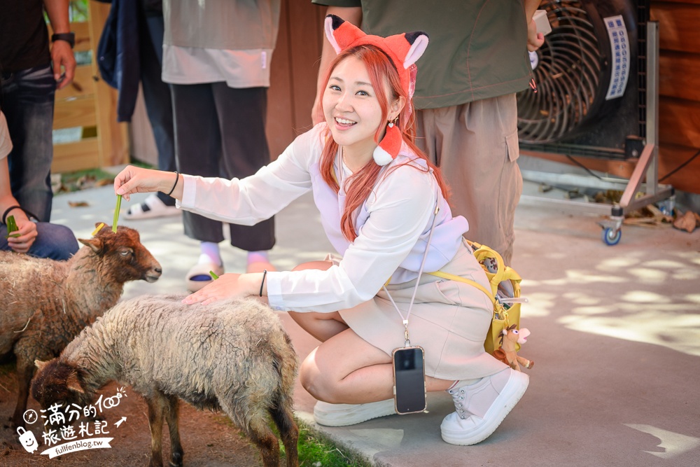 高雄景點【野森動物學校】最新門票資訊＆玩樂攻略!必玩沙丘部落和狐狸谷.與狐狸.狐獴.老鷹.土撥鼠近距離互動!