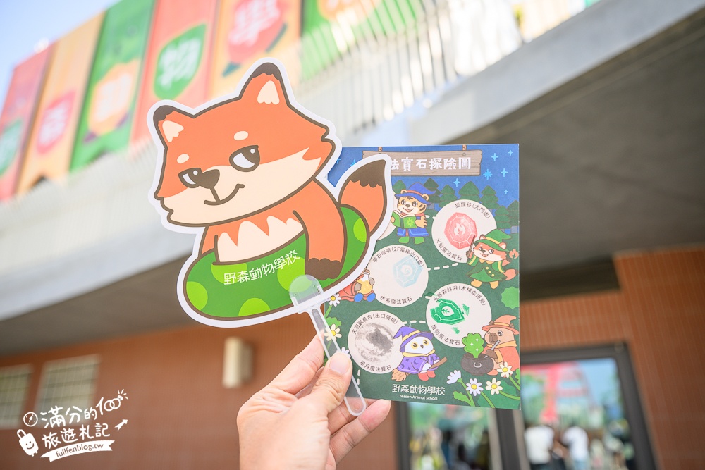 高雄景點【野森動物學校】最新門票資訊＆玩樂攻略!必玩沙丘部落和狐狸谷.與狐狸.狐獴.老鷹.土撥鼠近距離互動!