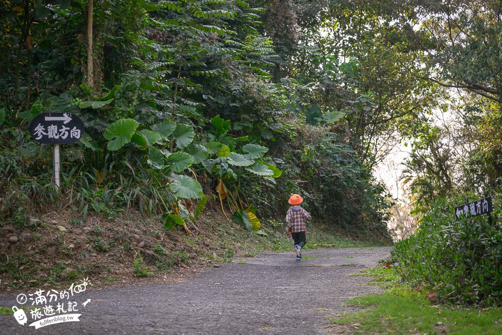 高雄【三桃山森林休閒園】台灣最早期的遊樂園創始地.100元門票玩到底.人氣高空腳踏車&超長溜滑梯!