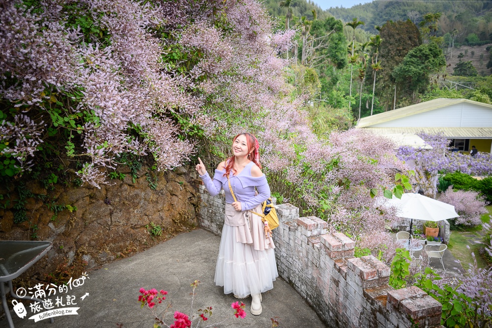 【2026阿喜紫藤花季】瑞里最美紫藤花園民宿,賞花預約方式攻略,山城中最美紫色仙境！